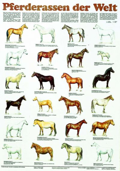 SKUS Lehrmittel GmbH